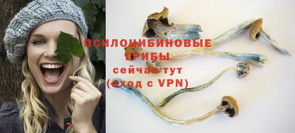 не бодяженный Беломорск