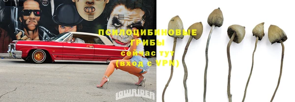 первитин Армянск