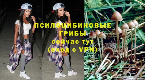 первитин Армянск