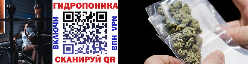 Канабис Bruce Banner Подпорожье
